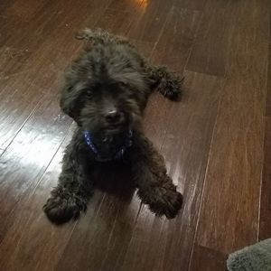 Meet your Posher, Lori